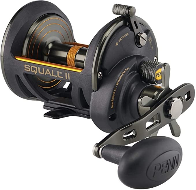 10 Best Conventional Reels for Bottom Fishing Buying Guide and Review ...